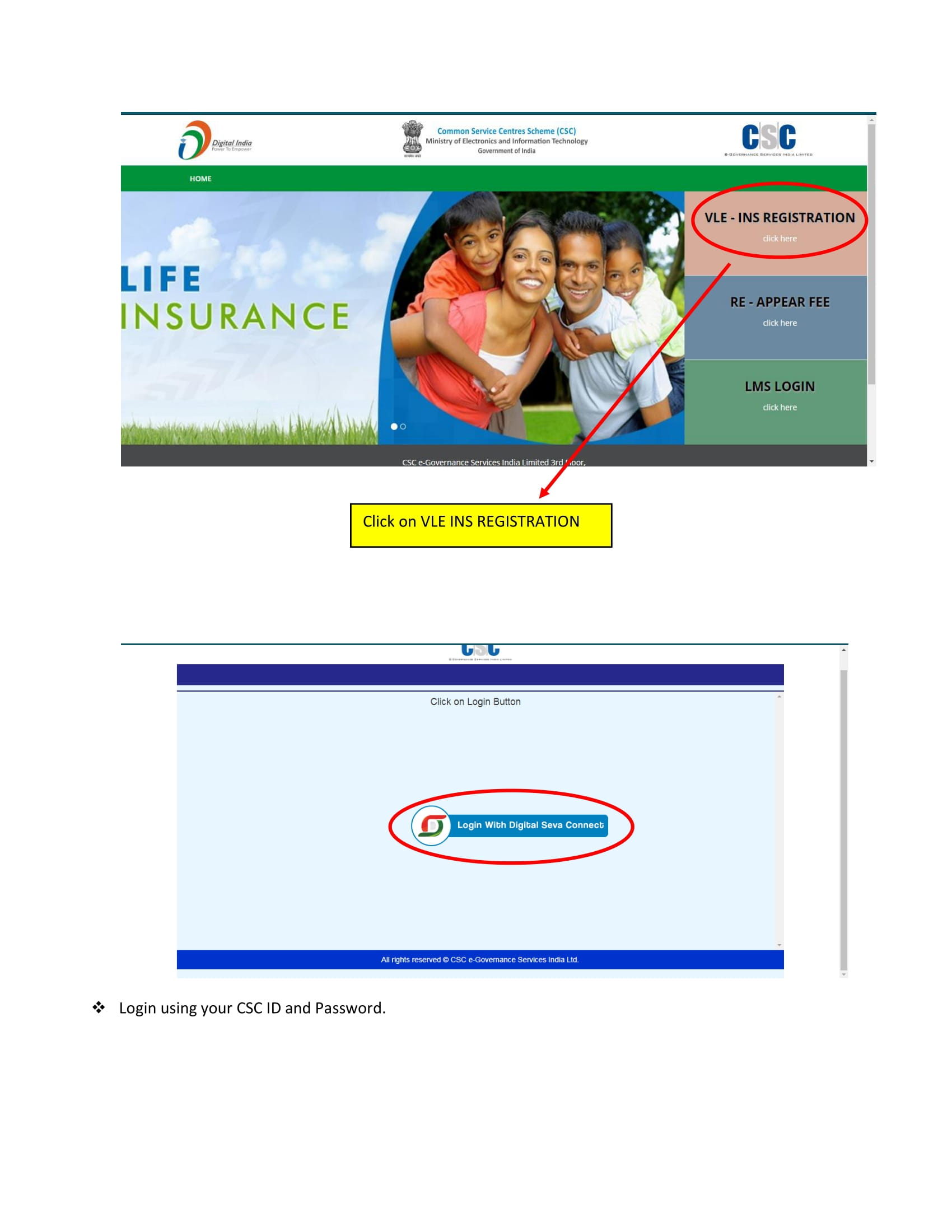 VLE Insurance Process Flow